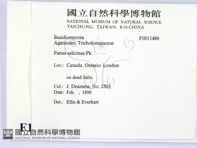 登錄號:F0011486藏品圖，第2張