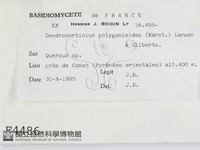 登錄號:F0004486藏品圖，第2張