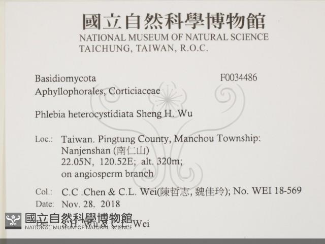 登錄號:F0034486藏品圖，第2張