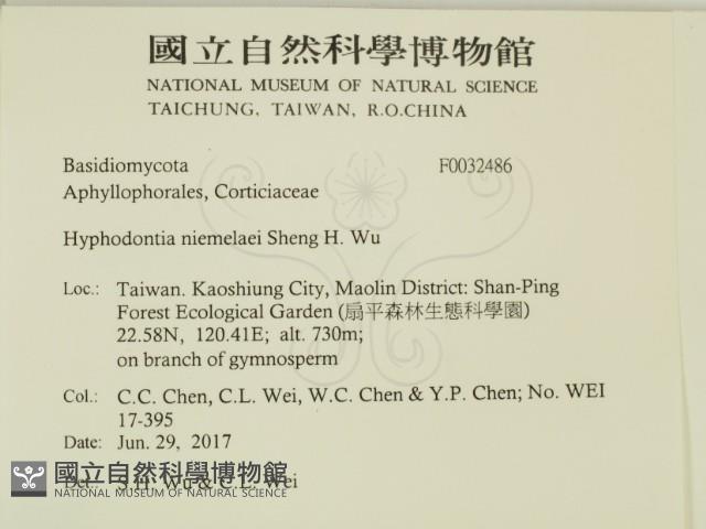 登錄號:F0032486藏品圖，第2張