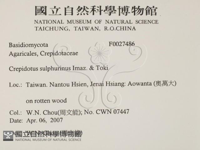 登錄號:F0027486藏品圖，第2張