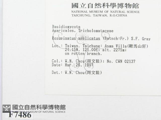 登錄號:F0007486藏品圖，第2張