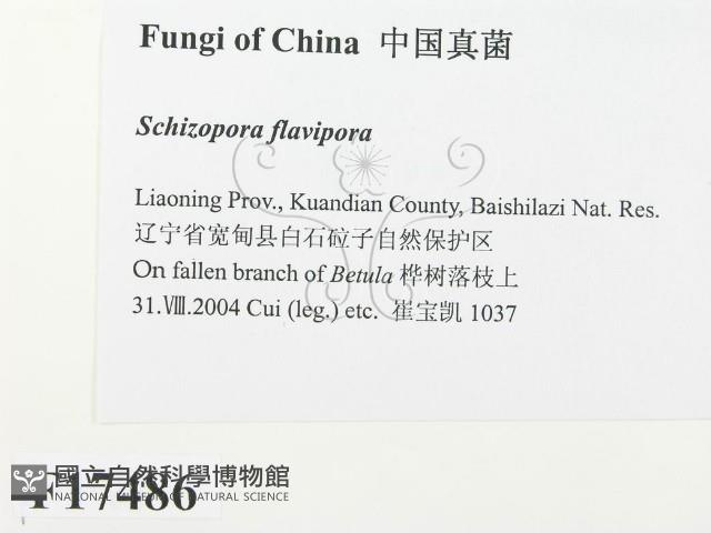 登錄號:F0017486藏品圖，第2張