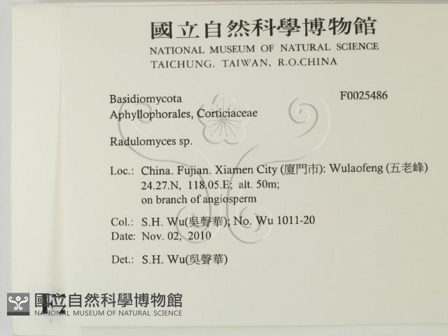 登錄號:F0025486藏品圖，第2張