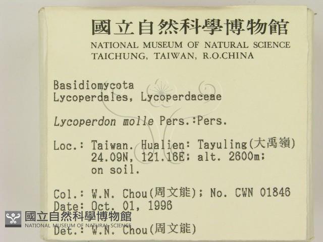 登錄號:F0005486藏品圖，第2張