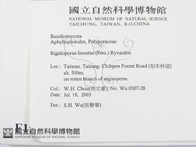 登錄號:F0015486藏品圖，第2張