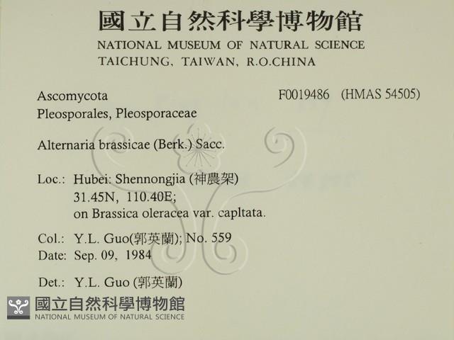 登錄號:F0019486藏品圖，第2張