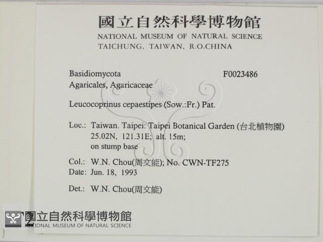 登錄號:F0023486藏品圖，第2張