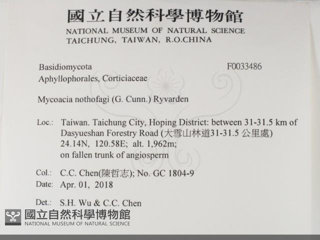 登錄號:F0033486藏品圖，第2張