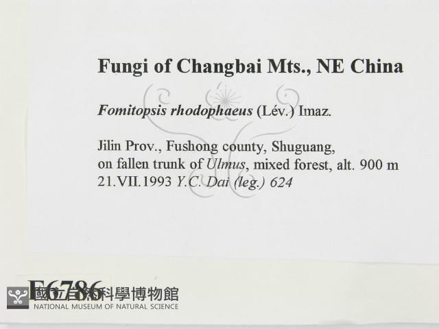 登錄號:F0006786藏品圖，第2張