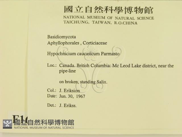 登錄號:F0016786藏品圖，第2張