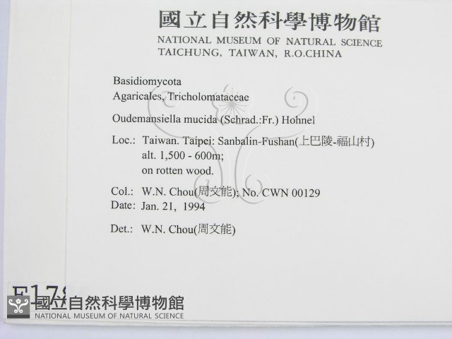 登錄號:F0001786藏品圖，第2張