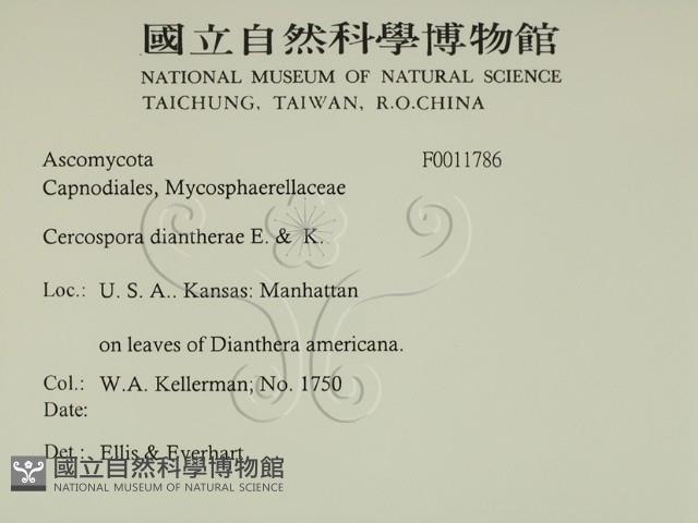 登錄號:F0011786藏品圖，第2張
