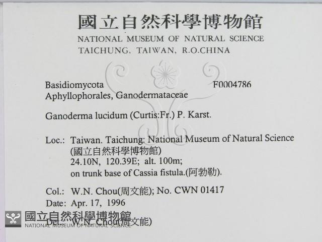 登錄號:F0004786藏品圖，第2張