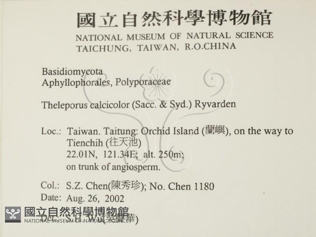 登錄號:F0014786藏品圖，第2張