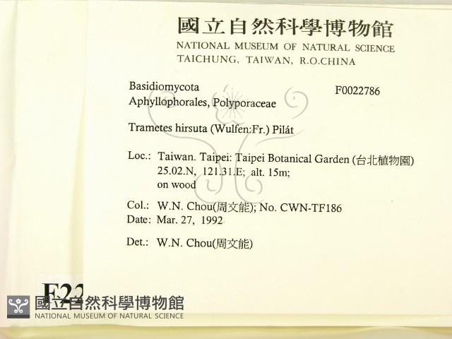 登錄號:F0022786藏品圖，第2張