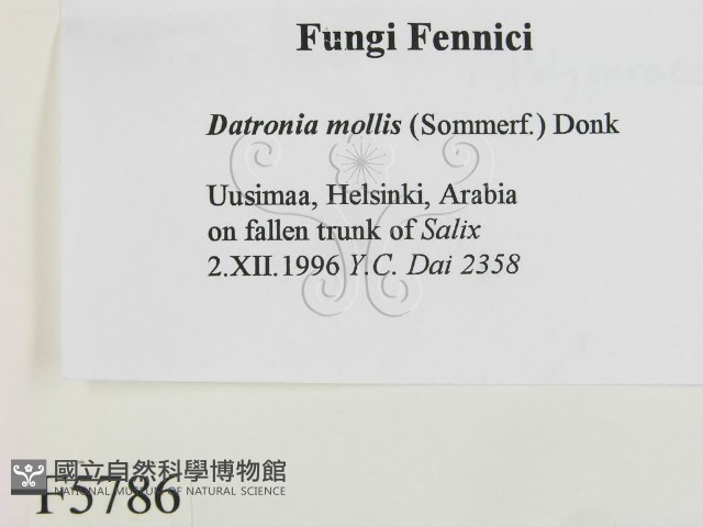 登錄號:F0005786藏品圖，第2張