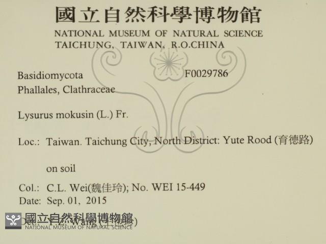 登錄號:F0029786藏品圖，第2張