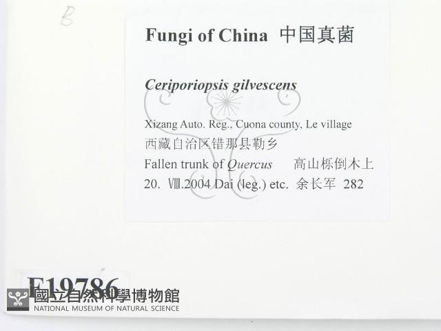 登錄號:F0019786藏品圖，第2張
