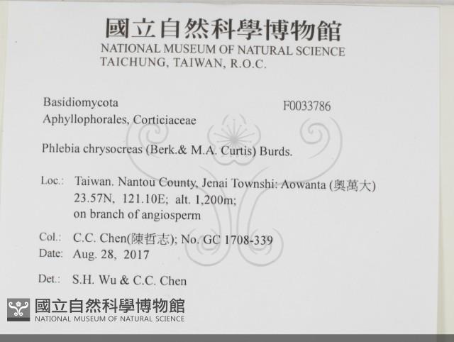 登錄號:F0033786藏品圖，第2張
