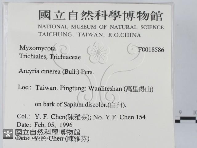 登錄號:F0018586藏品圖，第2張