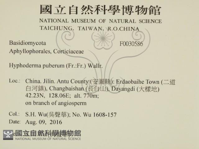 登錄號:F0030586藏品圖，第2張