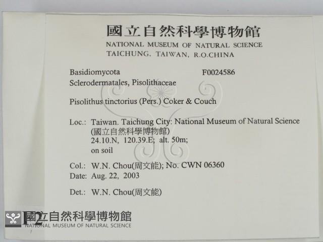 登錄號:F0024586藏品圖，第2張