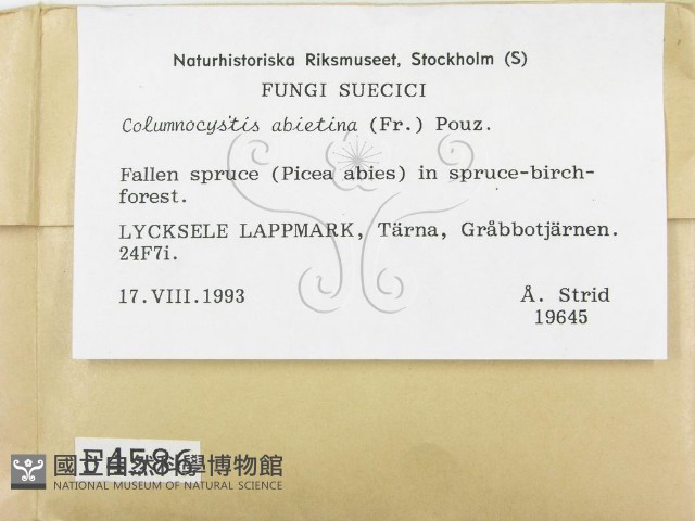 登錄號:F0004586藏品圖，第2張