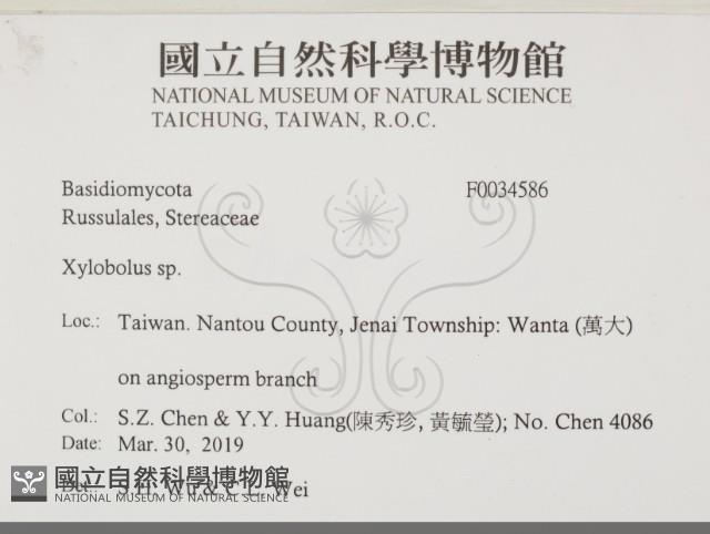 登錄號:F0034586藏品圖，第2張