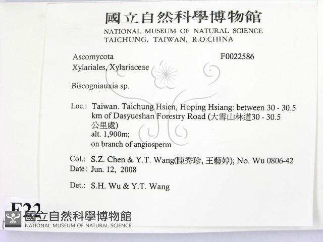 登錄號:F0022586藏品圖，第2張