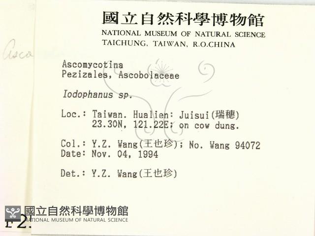 登錄號:F0002586藏品圖，第2張