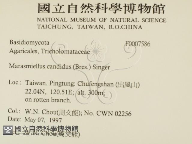 登錄號:F0007586藏品圖，第2張