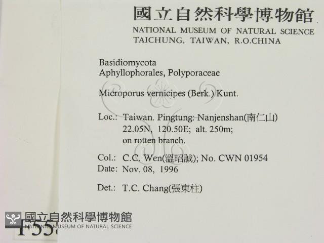 登錄號:F0005586藏品圖，第2張