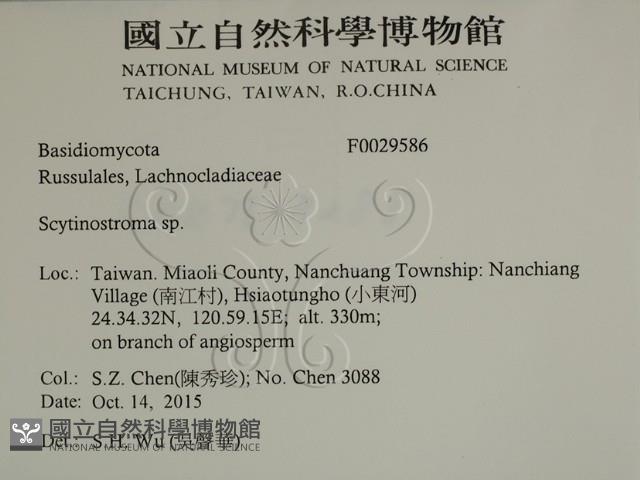 登錄號:F0029586藏品圖，第2張