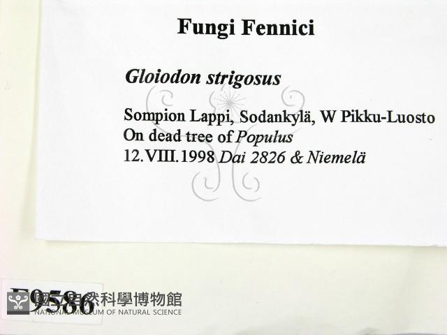 登錄號:F0009586藏品圖，第2張