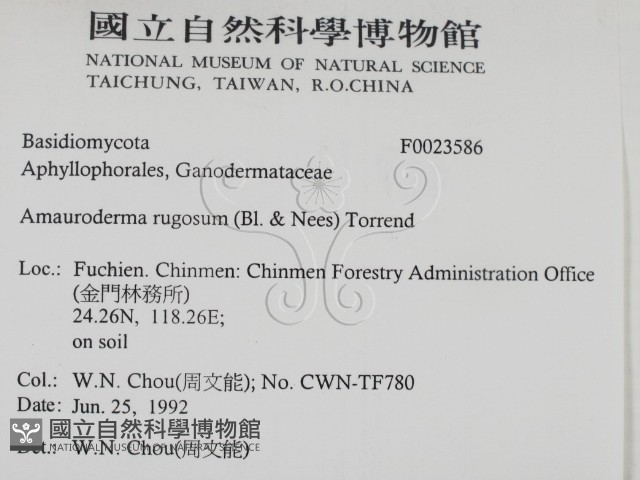 登錄號:F0023586藏品圖，第2張