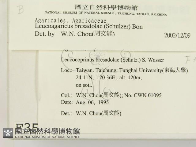 登錄號:F0003586藏品圖，第2張