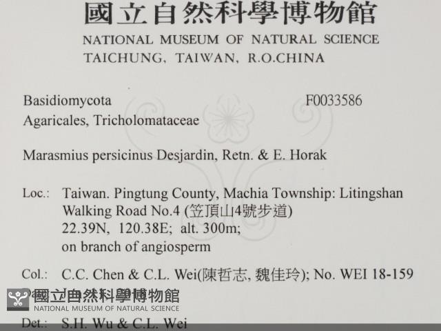 登錄號:F0033586藏品圖，第2張