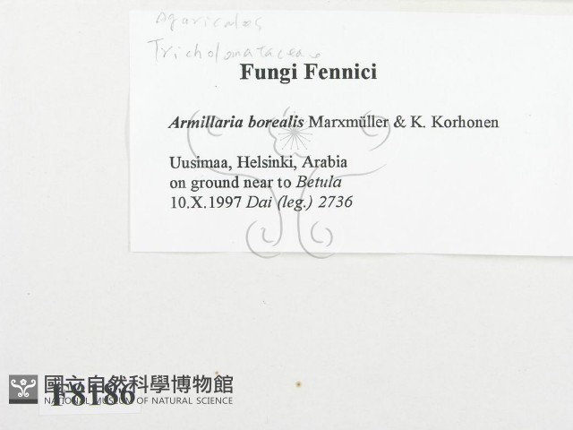 登錄號:F0008186藏品圖，第2張