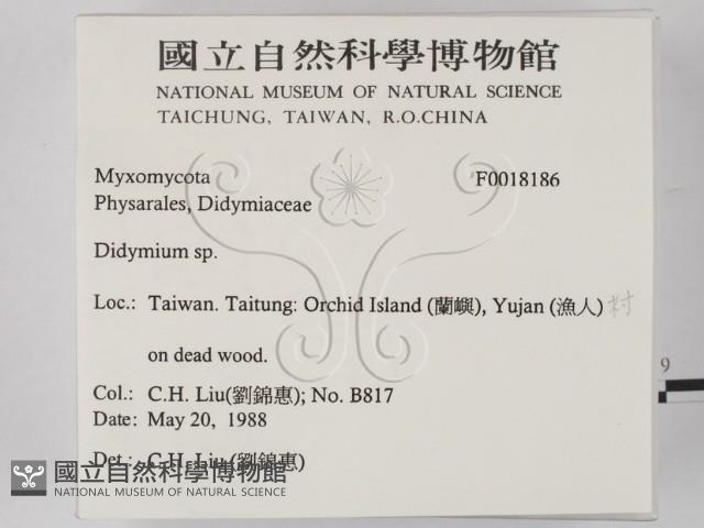 登錄號:F0018186藏品圖，第2張