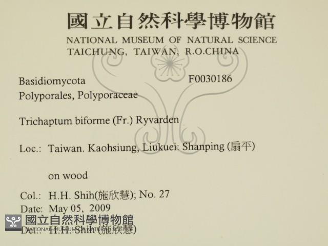 登錄號:F0030186藏品圖，第2張