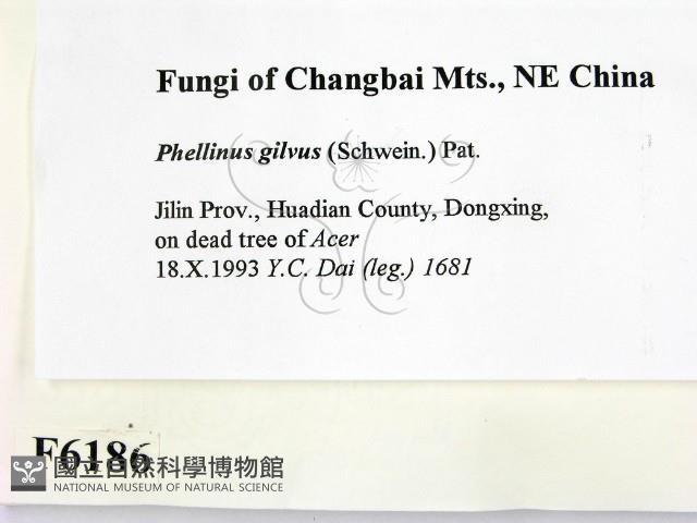 登錄號:F0006186藏品圖，第2張