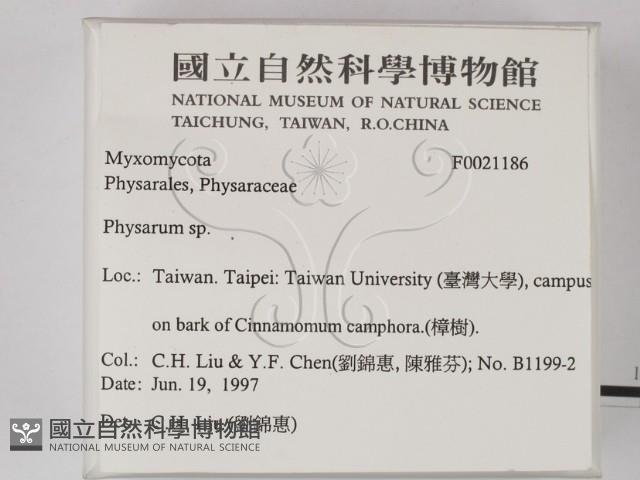 登錄號:F0021186藏品圖，第2張