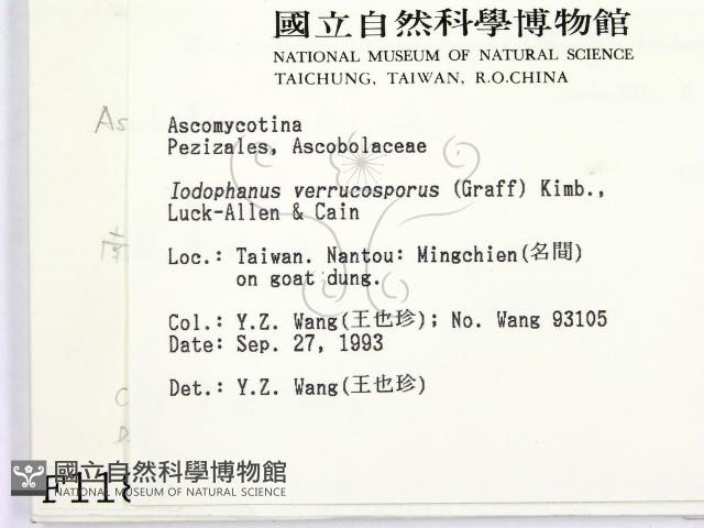 登錄號:F0001186藏品圖，第2張
