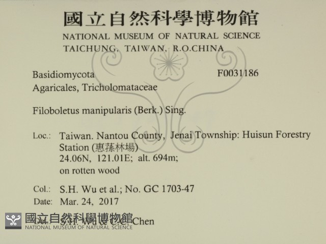 登錄號:F0031186藏品圖，第2張