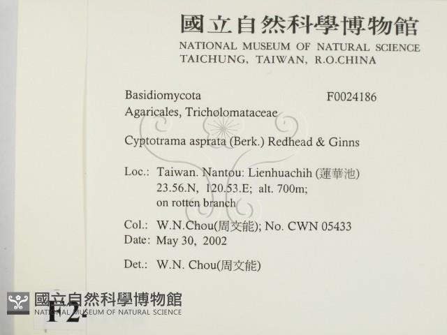 登錄號:F0024186藏品圖，第2張