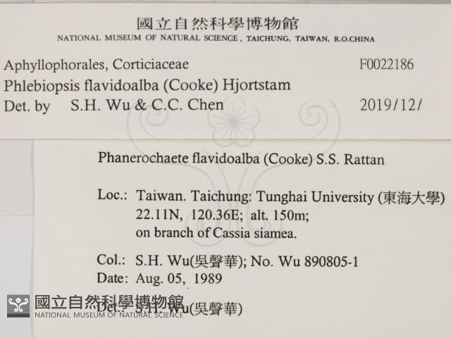 登錄號:F0022186藏品圖，第2張