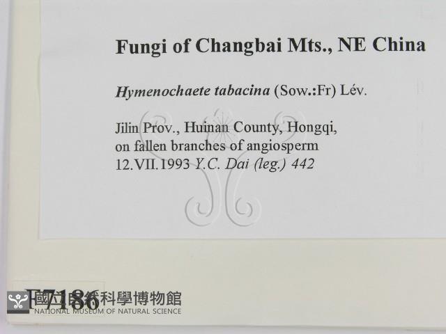 登錄號:F0007186藏品圖，第2張