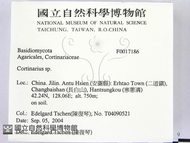 登錄號:F0017186藏品圖，第2張