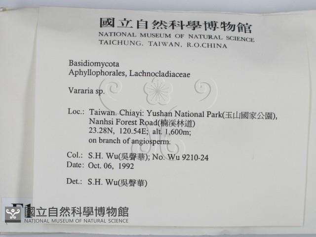 登錄號:F0015186藏品圖，第2張